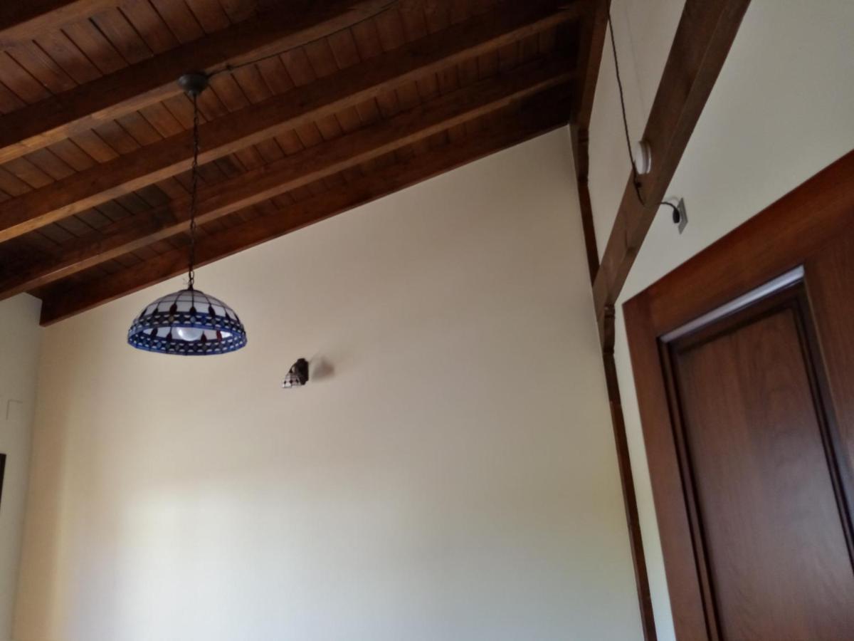 La Regata Viveda