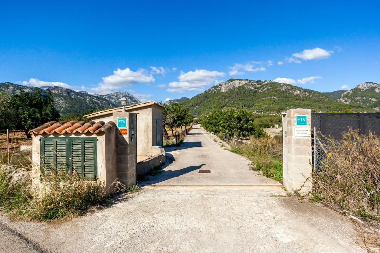 Tabo Campanet