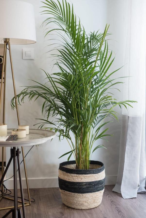 Apartamento El Balcón De Las Setas *