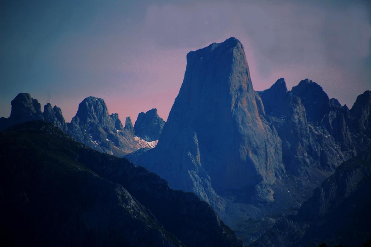 Bufones De Pria Rurales