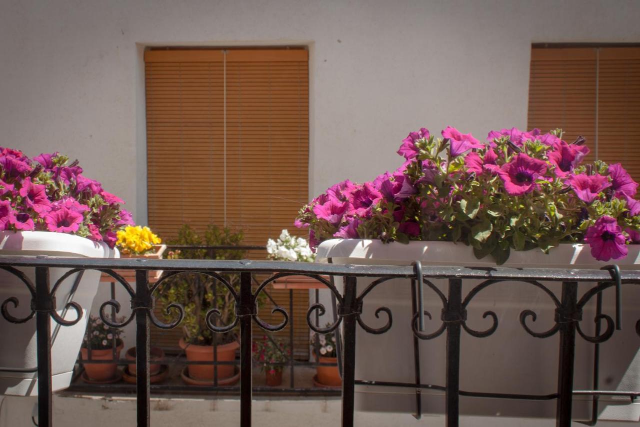 Casa Amparo - Alquiler Integro Con Encanto En Alicante Holiday home