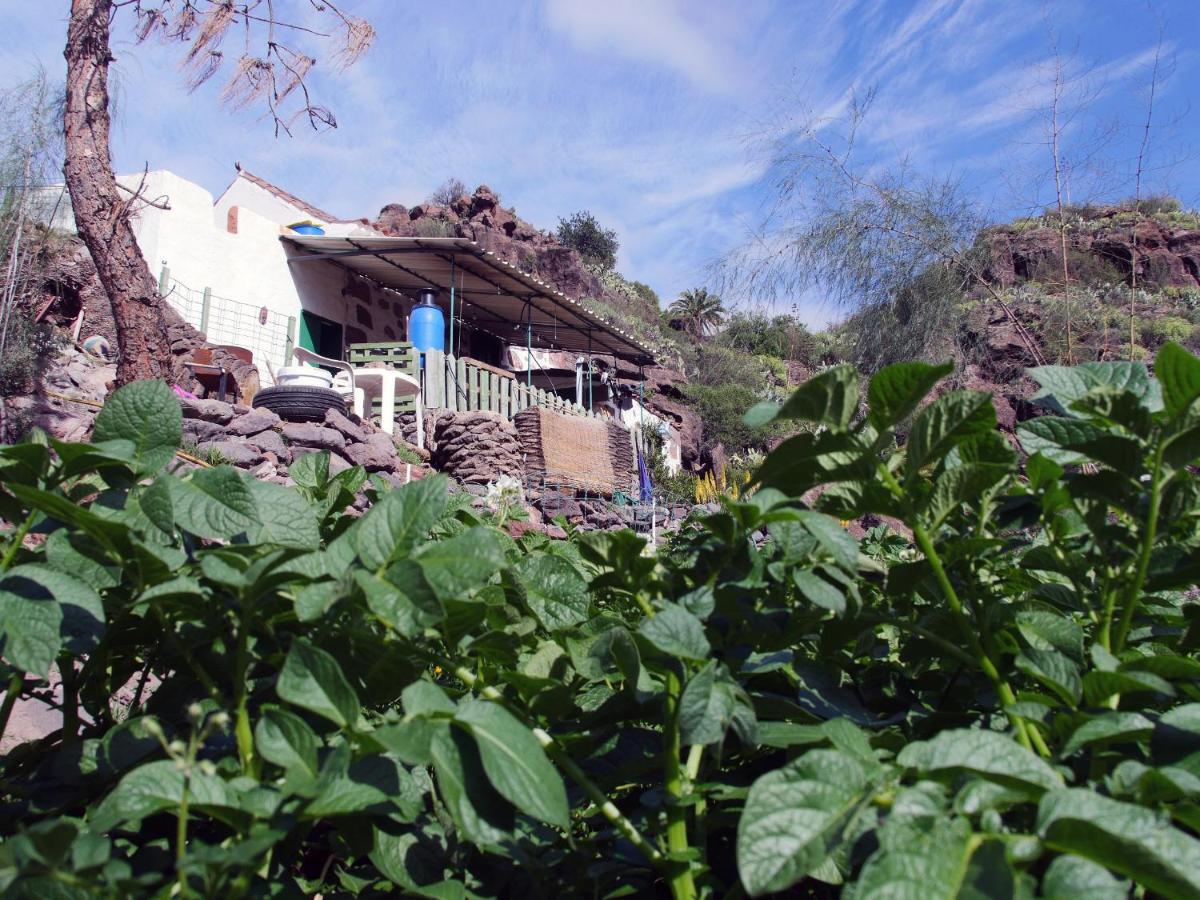 Chalet Casa Rural El Molino De Agua De Santa Lucia De Tirajana La Sorrueda