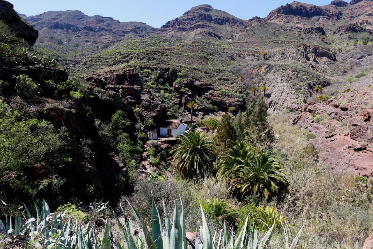 Casa Rural El Molino De Agua De Santa Lucia De Tirajana *