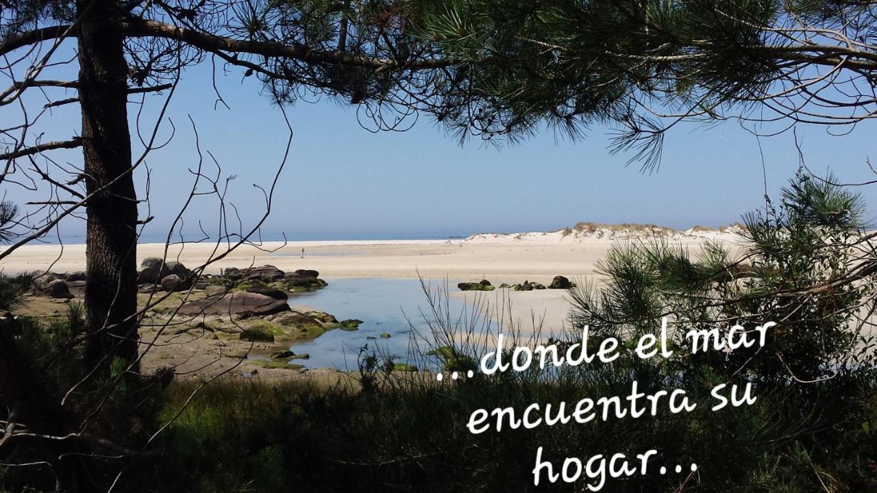 Olardomar *