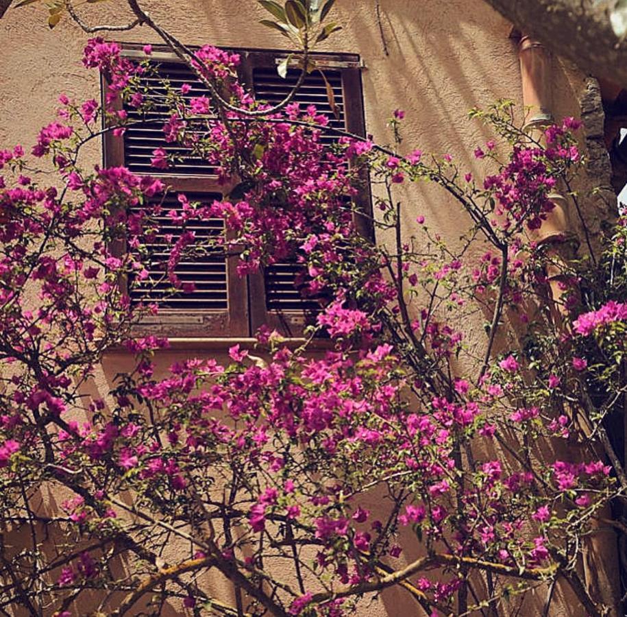 Ses Eres Holiday home