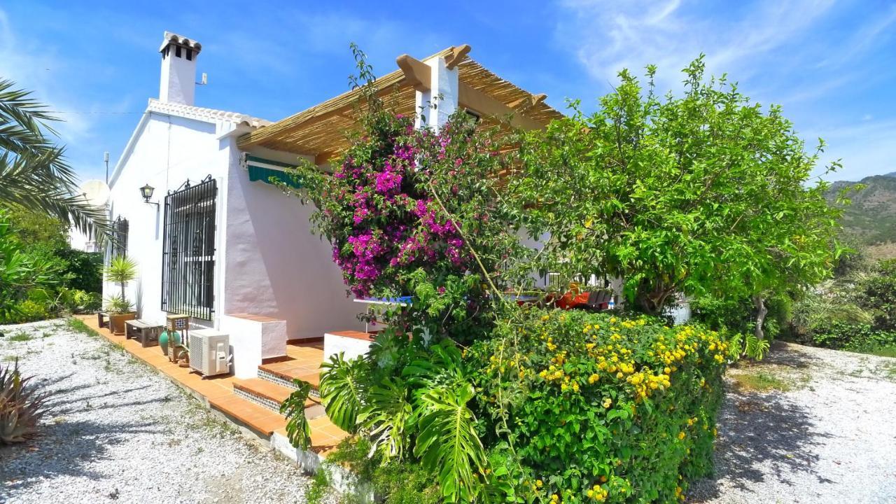 Jazmin - C&g Villa Frigiliana