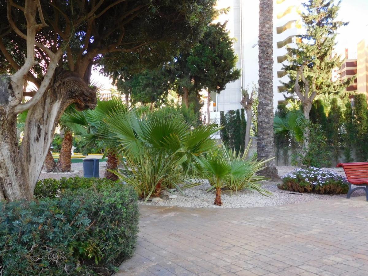 Gemelos-2 Apartamento Benidorm