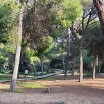 Apartment Almadraba