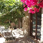 Punta Paloma