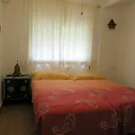 El Apartaito