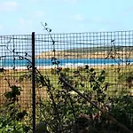 Apartamento Lentiscal Playa