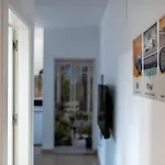 Apto En Granada Centro Con Parking Opcional