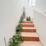 Casa José