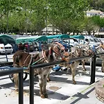 Club Delta Apartments By Ghr Rentals