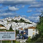 Vientos De Alcornoque
