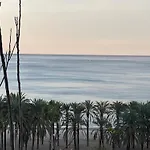 Sol y paz