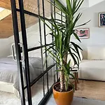 Apartamento De Ensueno