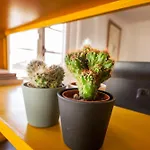 Duquesa Port Studio Apartment - Bright Sunlit Terrace