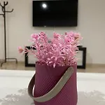 Apartamentos Cayla