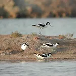 Alojamiento Rural Coto De La Isleta