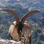 Hospederia Rio Zumeta Spa