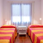 Lovely Rooftop Apartment La Palmera Azul