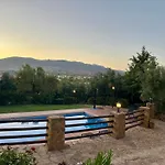 Lenta Suites