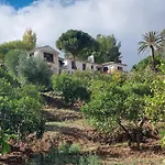 El Bufon De La Corte