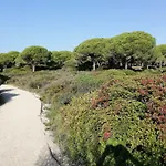 Sancti Petri Anocheceres