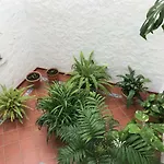 Apartamento Campanillas