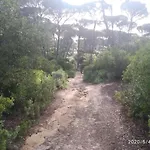 Casa Rural Los Pinos
