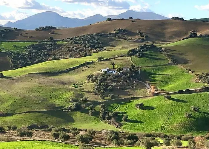 Finca Las Campanas II