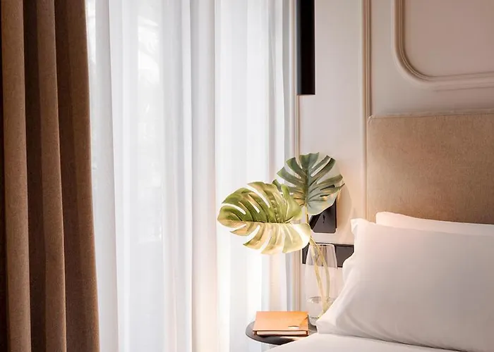 Lotelito Rooms & Bar