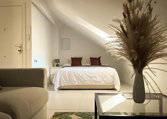 Palm Suites