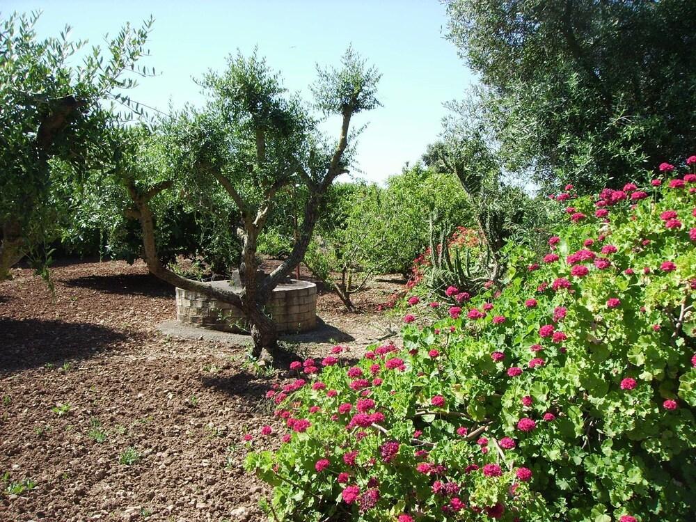 Finca La Luz * Carmona (Seville)