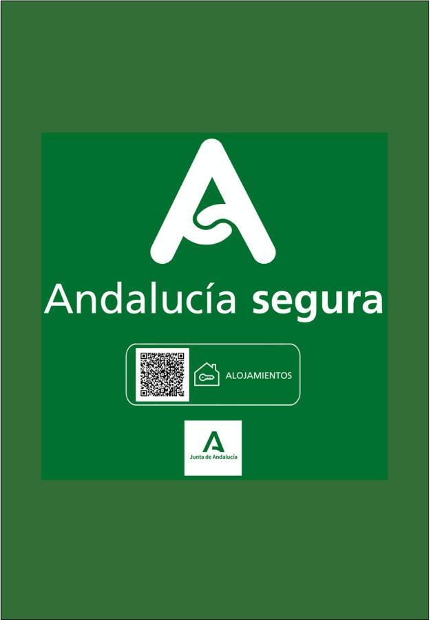 Holidays2malaga Refino Pool And Parking * Malaga
