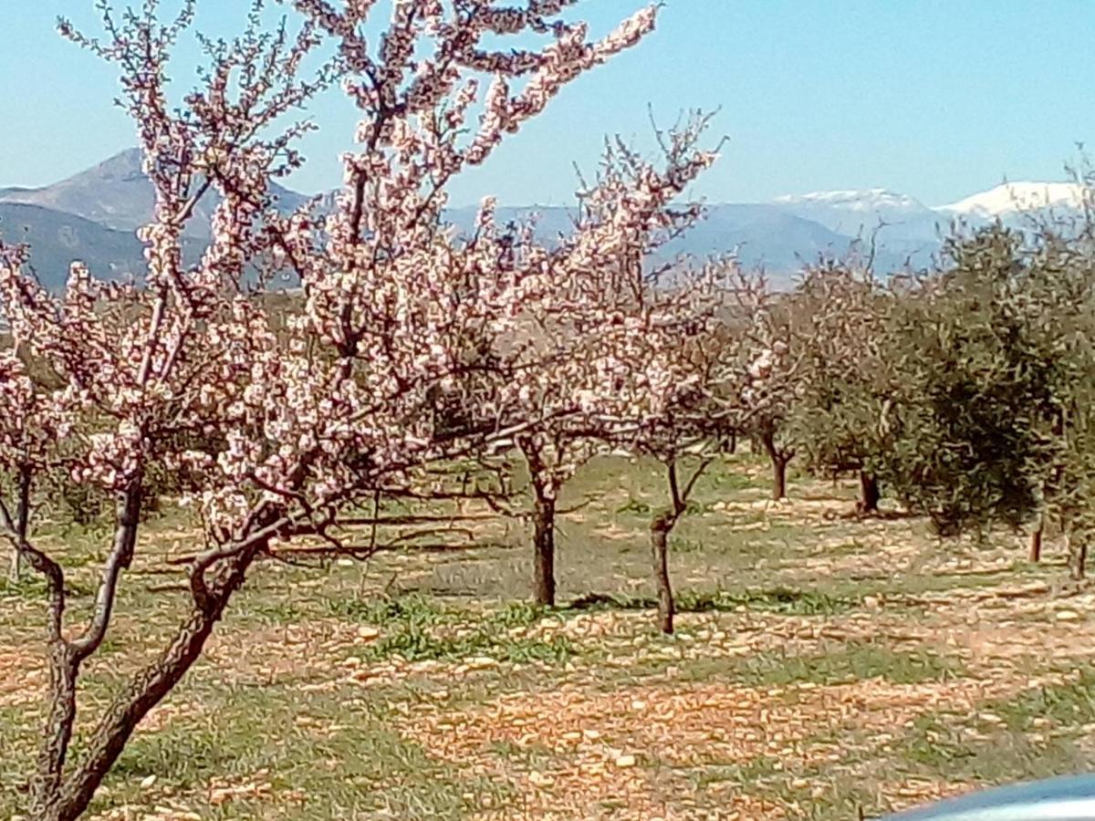 Casa En La Plaza, Vivienda Rural Сasa de vacaciones