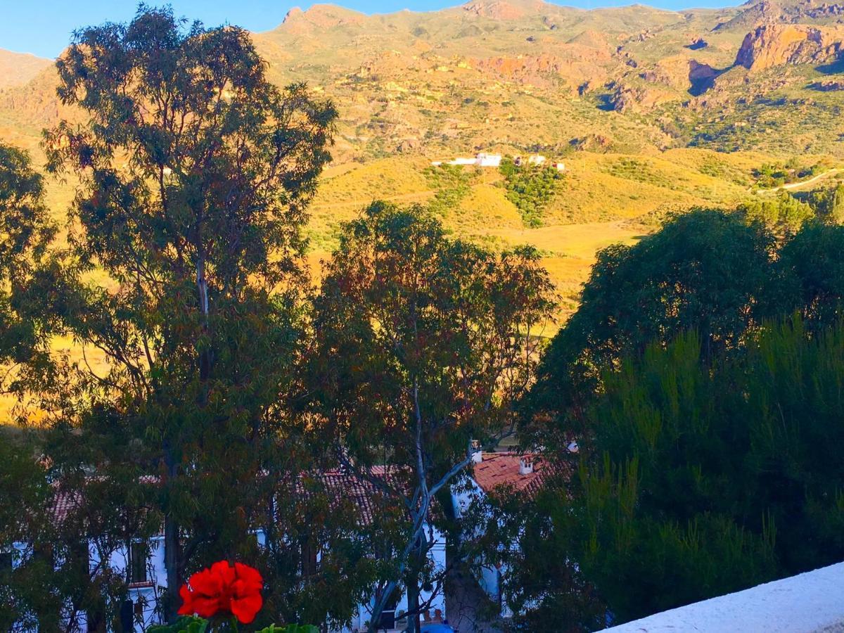 Rural Casa Medico Bed & Breakfast 3*