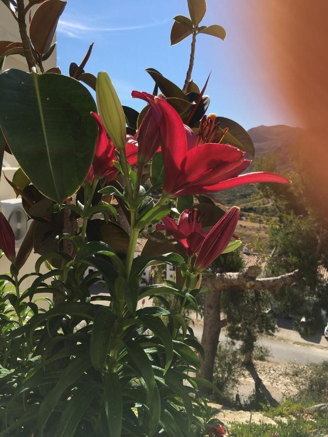 Rural Casa Medico Bed & Breakfast