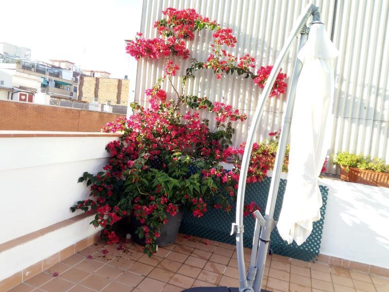 Castel Apartment *