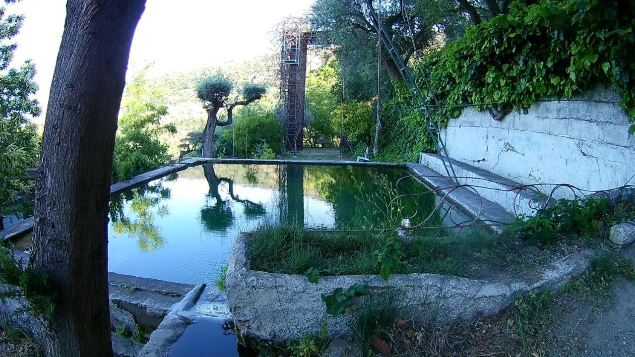 Rural El Brazal Villa
