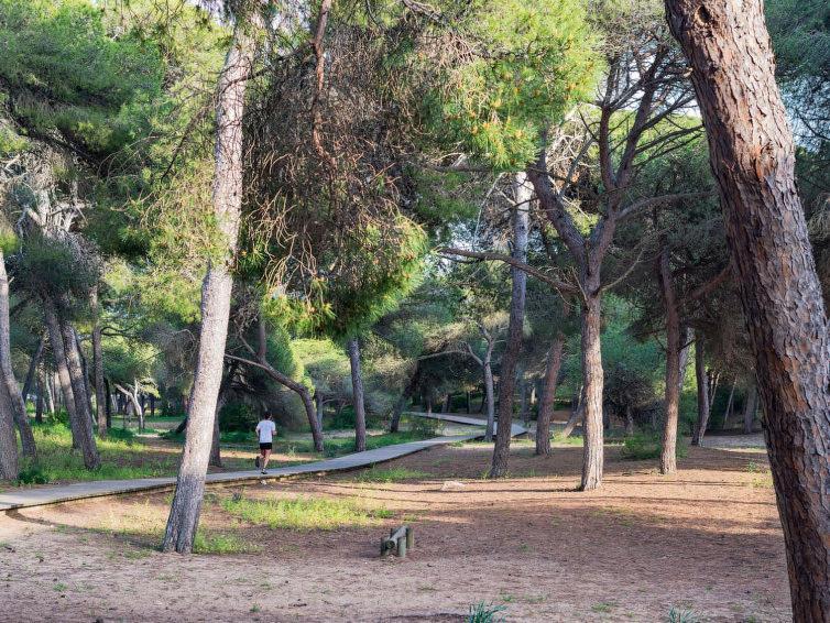 Apartment Almadraba Rota