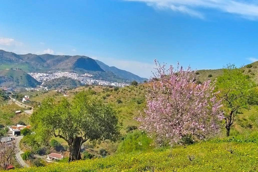 Rincon Del Mundo * Alora