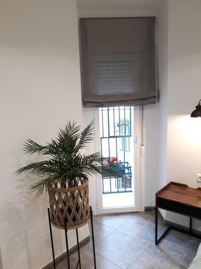 Pleno Centro Wallada Apartment *