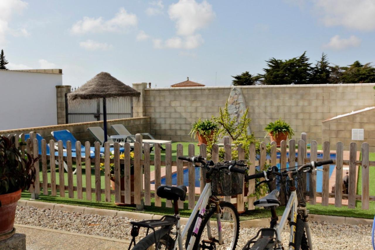 Mirlo Conil De La Frontera