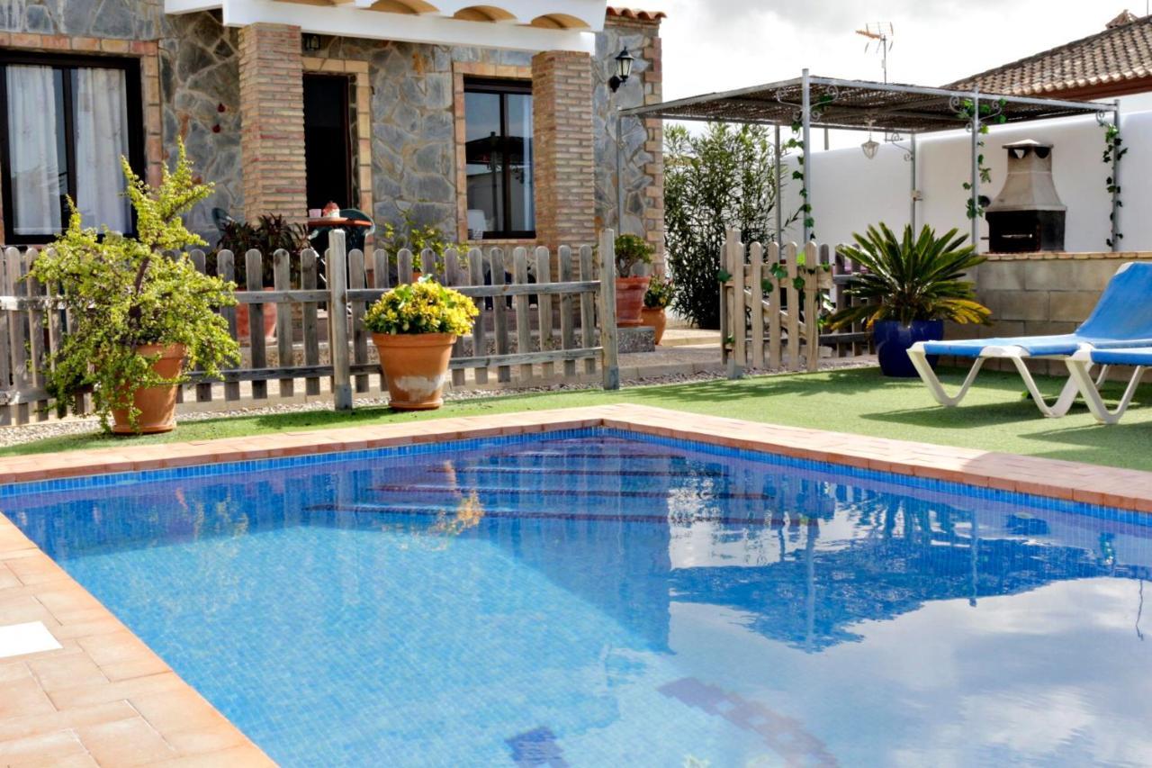 Mirlo Conil De La Frontera