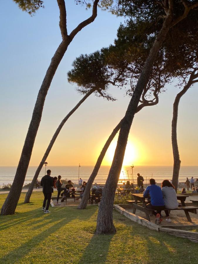 Conil *