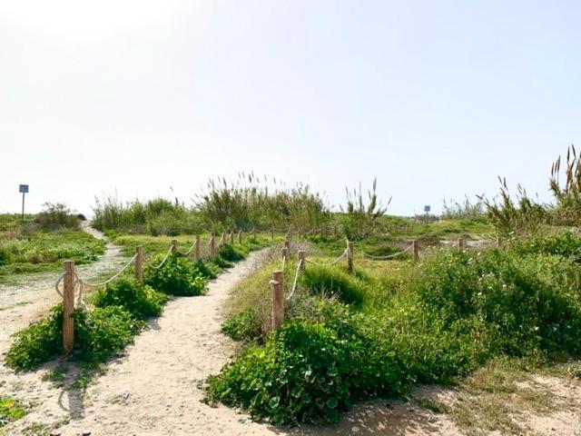 Duna * Torrox