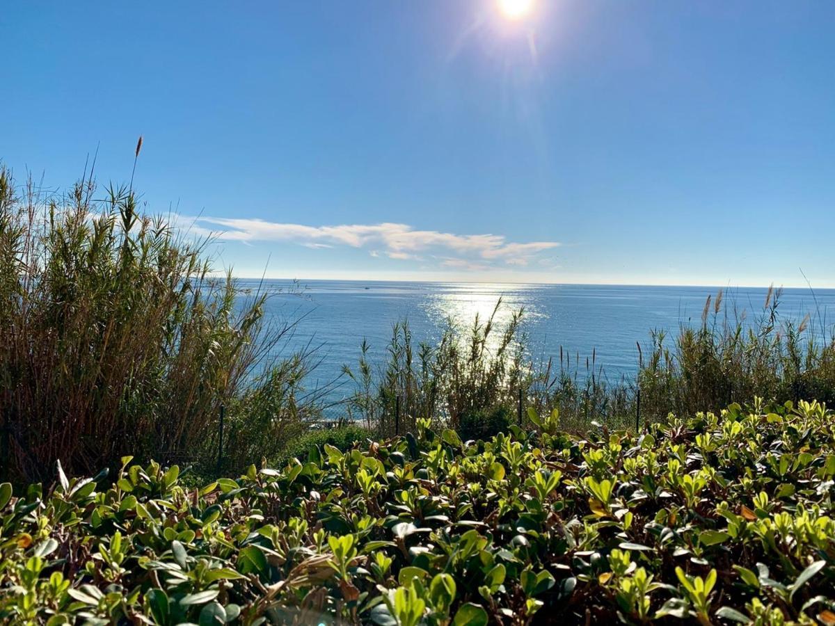 Punta Del Faro Apartment Torrox
