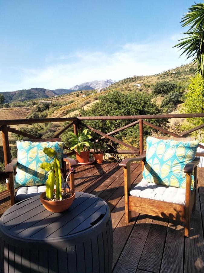 The African House Villa